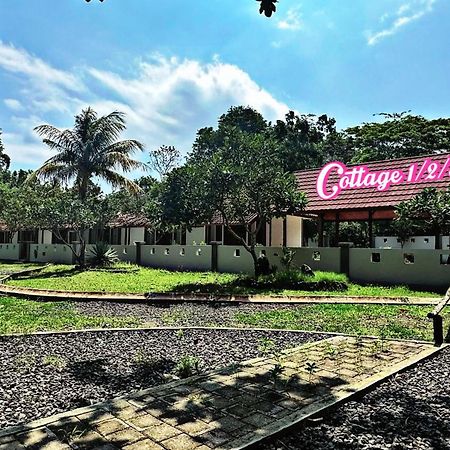G Beach Hotel Grajagan Exterior foto